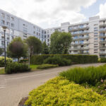 Zdjęcie 19
