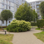 Zdjęcie 18