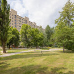 Zdjęcie 13