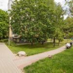 Zdjęcie 17