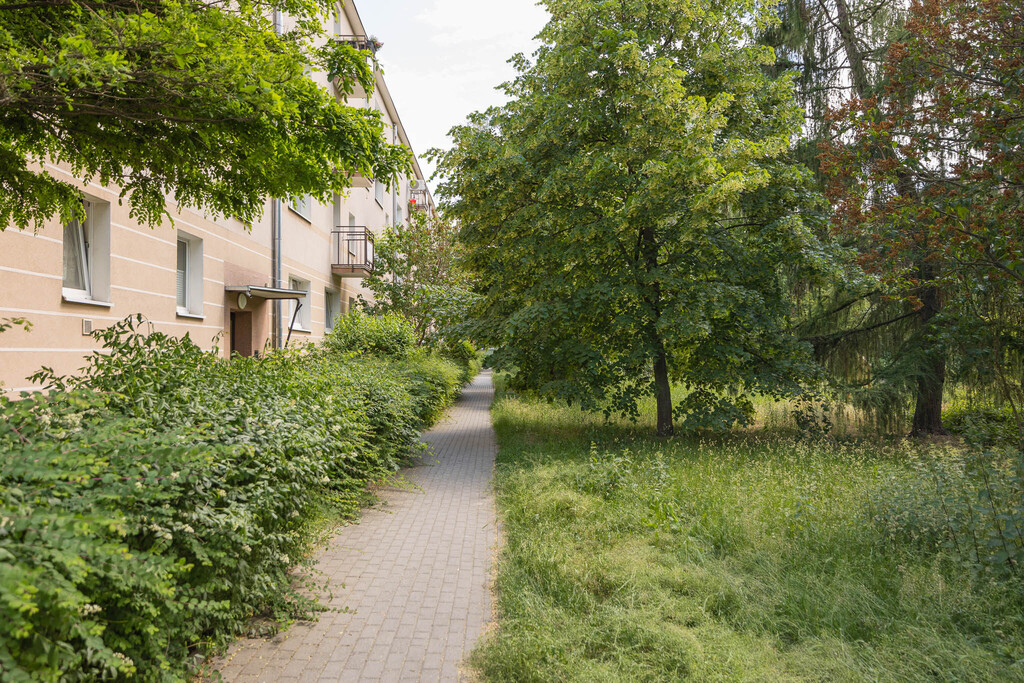 Blisko metra | Widne | Ciche | Na start